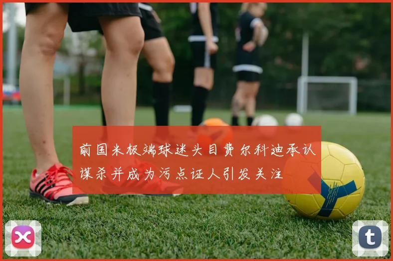 前国米极端球迷头目费尔科迪承认谋杀并成为污点证人引发关注