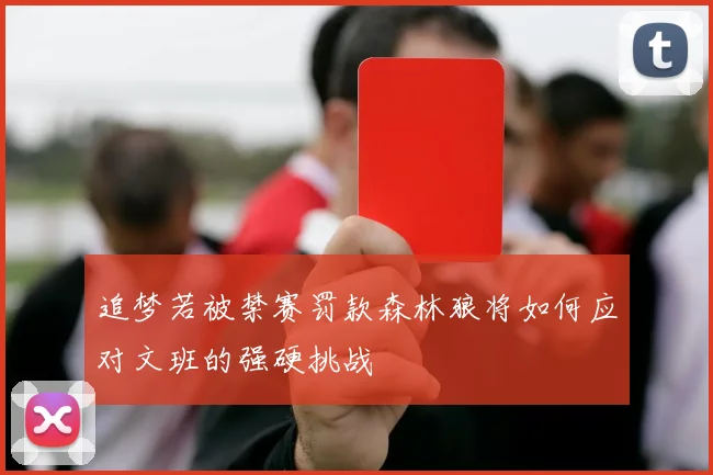 追梦若被禁赛罚款森林狼将如何应对文班的强硬挑战